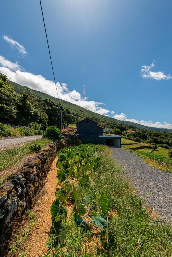 Rosa Chá Santo Amaro (Azores) Exterior foto