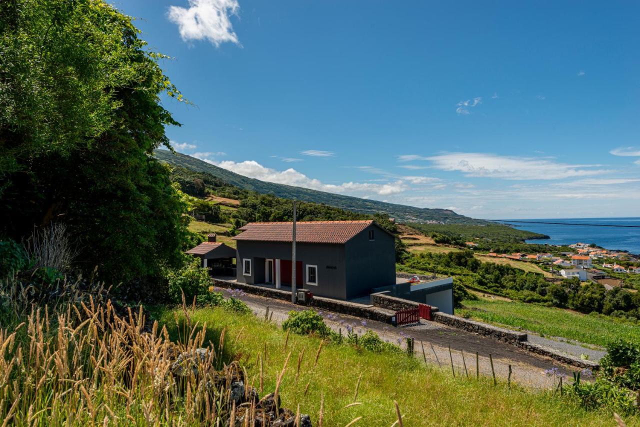 Rosa Chá Santo Amaro (Azores) Exterior foto